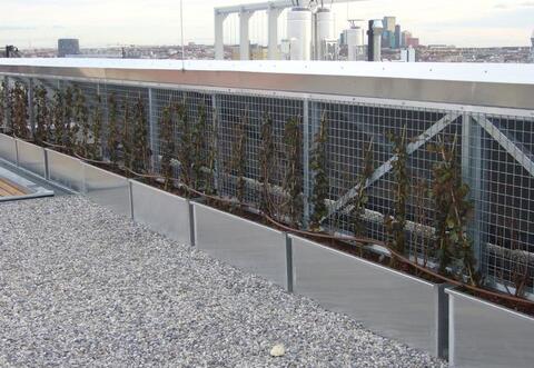 Sandwichpaneele, Trapezbleche, Kantbleche