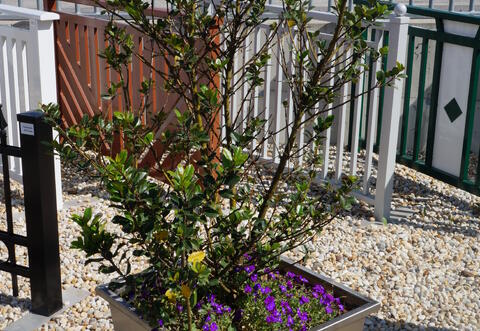 Edelstahl Blumentrog