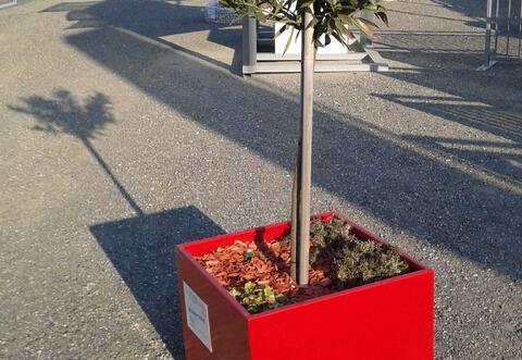 Blumentrog aus Alu pulverbeschichtet